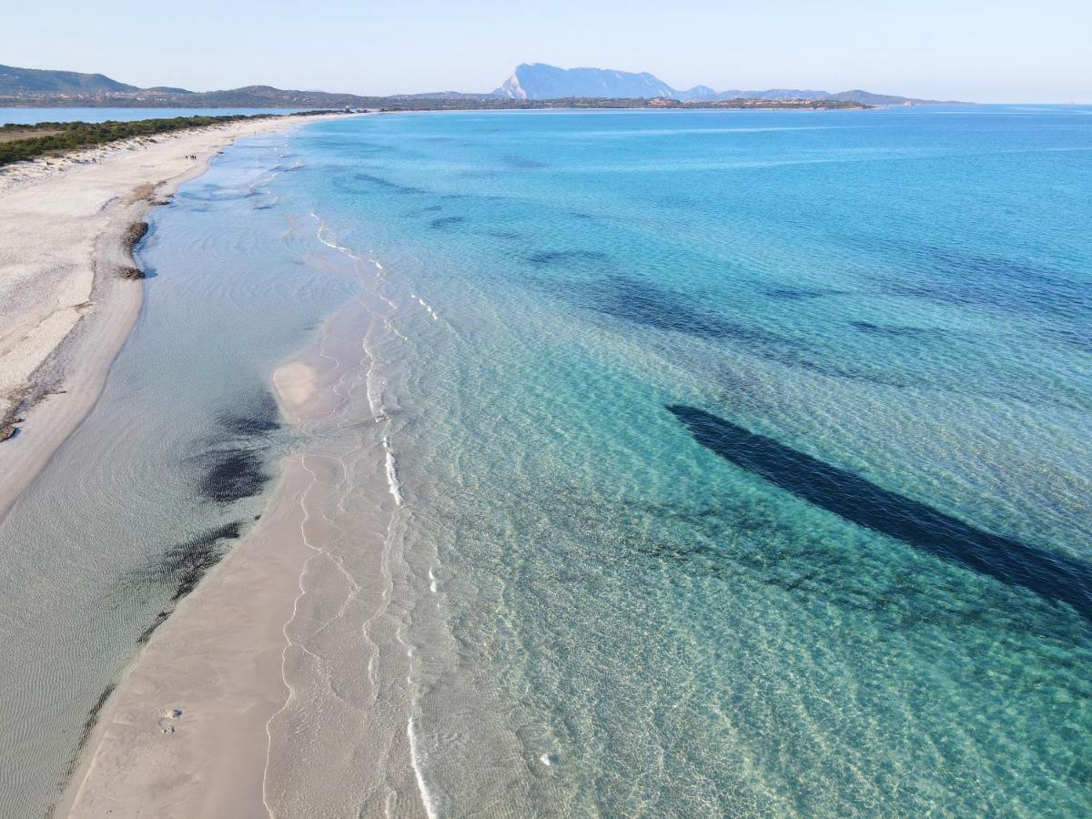 Iss Travel, Gli Asfodeli - Large Apartments With Private Terrace San Teodoro  Kültér fotó